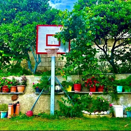 Aparments Ardi אוריקום