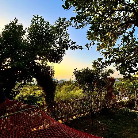 Aparments Ardi Appartement