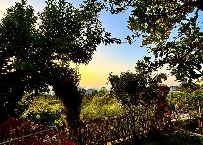 Aparments Ardi Appartement